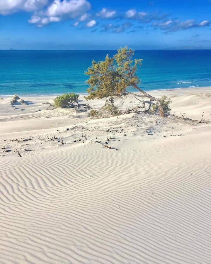 Case Vacanze Il Sogno 2 بورتو بينو المظهر الخارجي الصورة