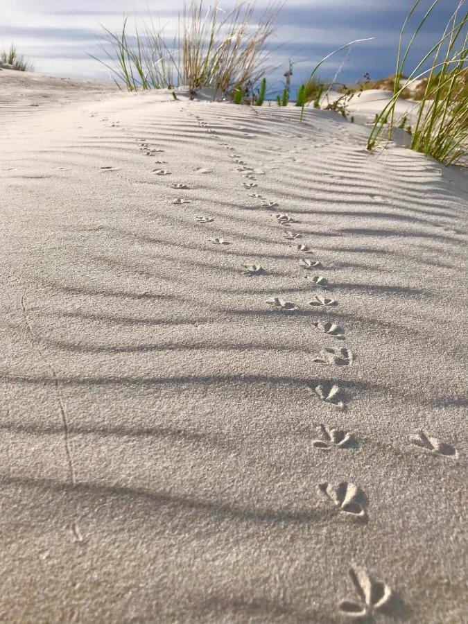 Case Vacanze Il Sogno 2 بورتو بينو المظهر الخارجي الصورة