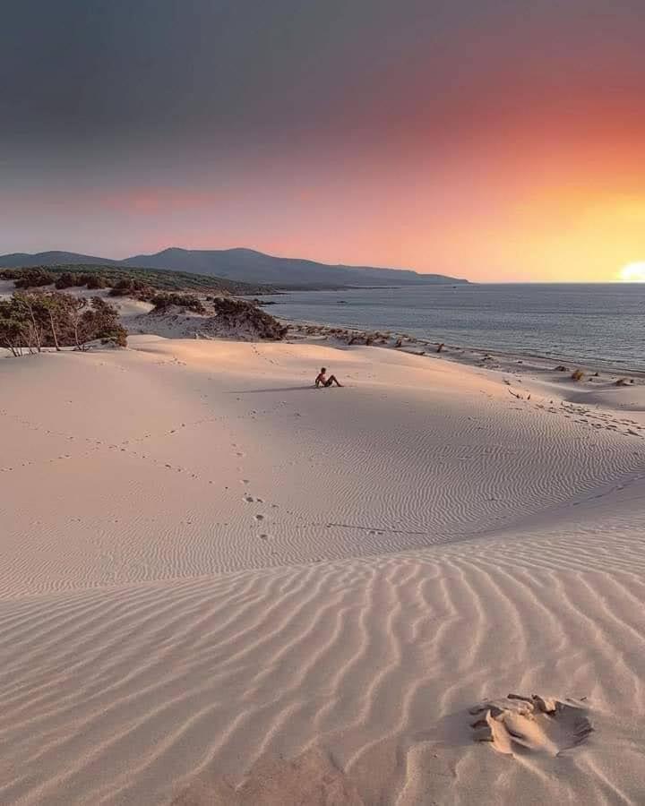 Case Vacanze Il Sogno 2 بورتو بينو الغرفة الصورة