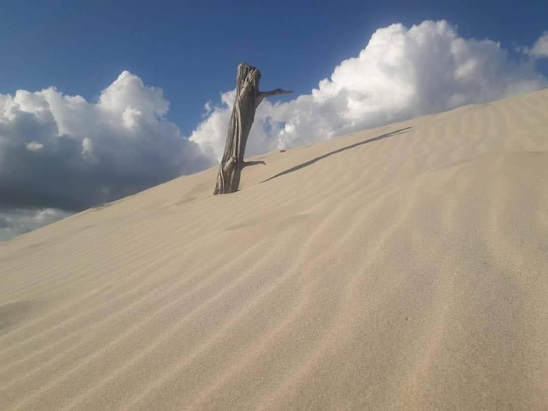 Case Vacanze Il Sogno 2 بورتو بينو الغرفة الصورة